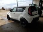 KIA SOUL + photo