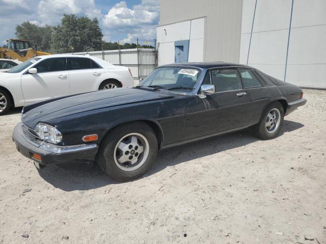 1985 Jaguar Xjs VIN: SAJNV5847FC123878 Lot: 60594084