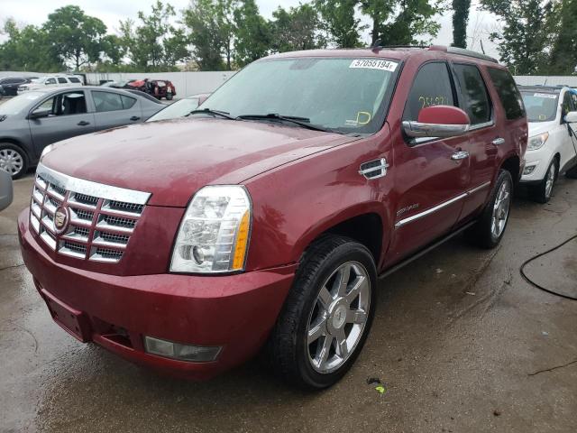 2011 CADILLAC ESCALADE P 1GYS4CEF9BR139435  57055194