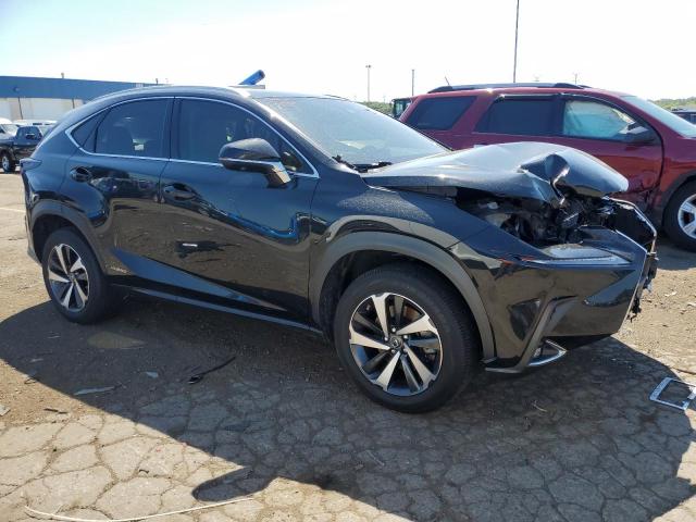 2021 Lexus Nx 300H Base VIN: JTJGJRDZ2M2167203 Lot: 59201934