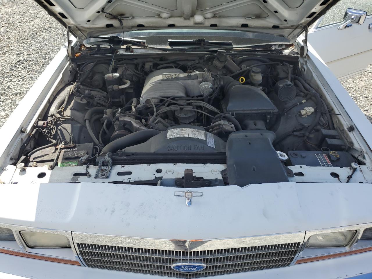 2FABP74F5JX223865 1988 Ford Crown Victoria Lx
