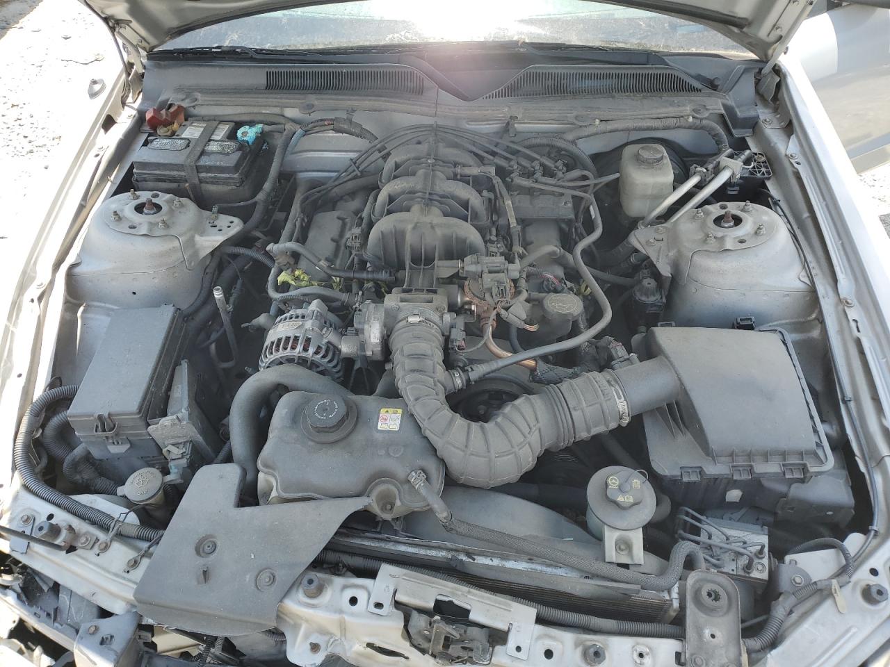 1ZVFT80N665266286 2006 Ford Mustang