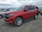 2023 CHEVROLET TAHOE K150 - 1GNSKMED2PR244865