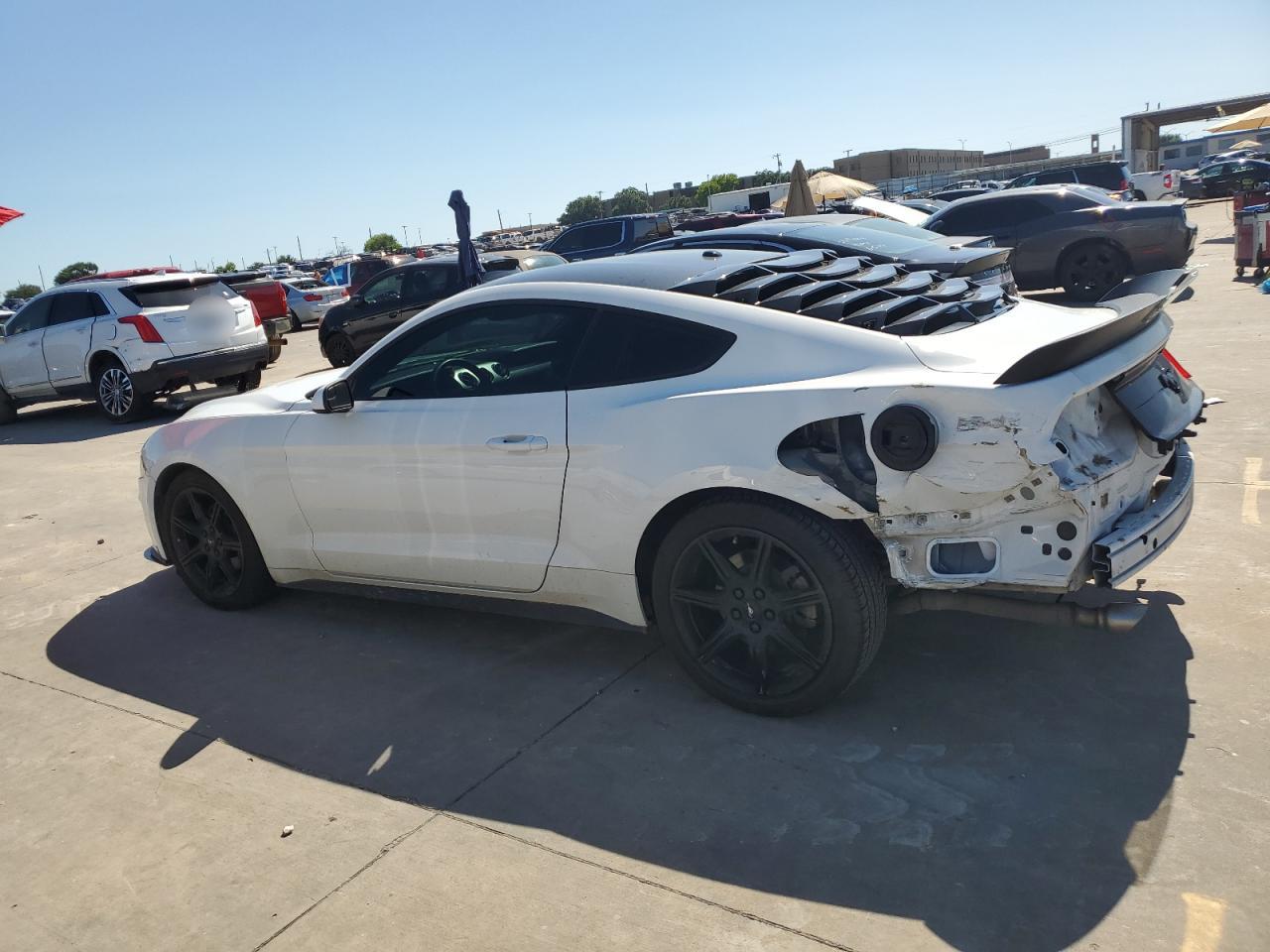 1FA6P8TH1K5133982 FORD ALL Models 2019