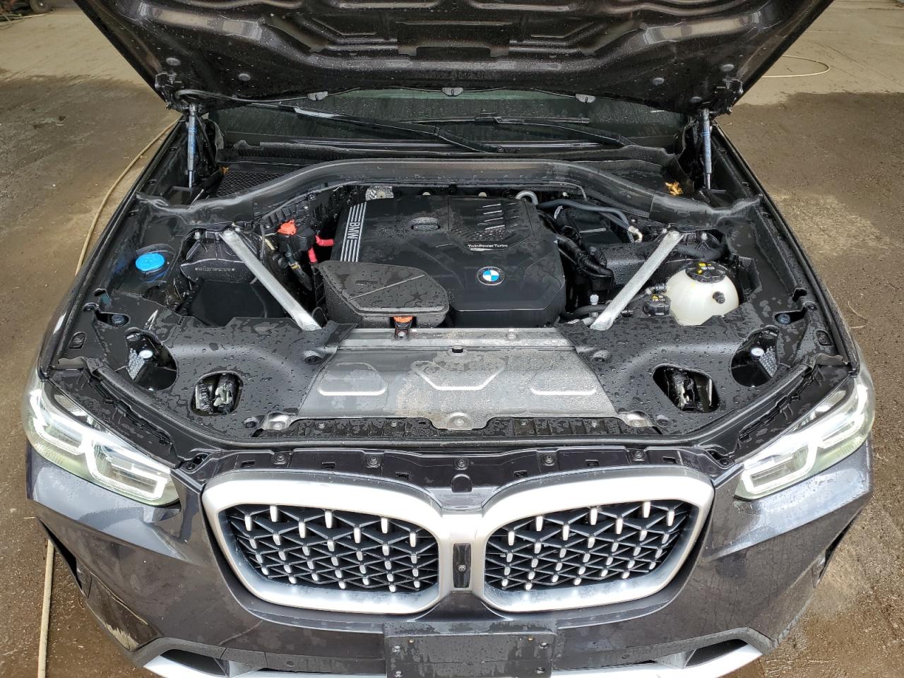 5UX33DT08P9S79791 2023 BMW X4 xDrive30I