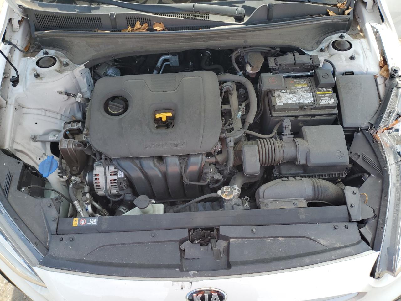 3KPF24AD6KE064891 2019 Kia Forte Fe