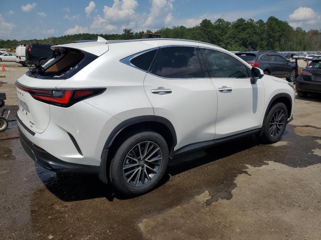 2024 LEXUS NX 350 LUX 2T2HGCEZ5RC056117