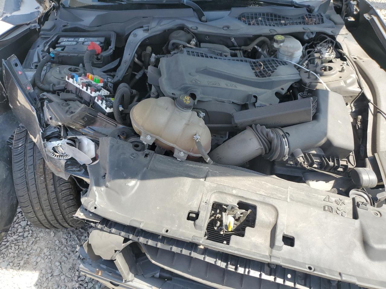 1FA6P8TH5K5146816 2019 Ford Mustang