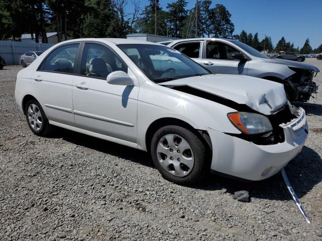 2004 Kia Spectra Lx VIN: KNAFE121645042069 Lot: 58542694