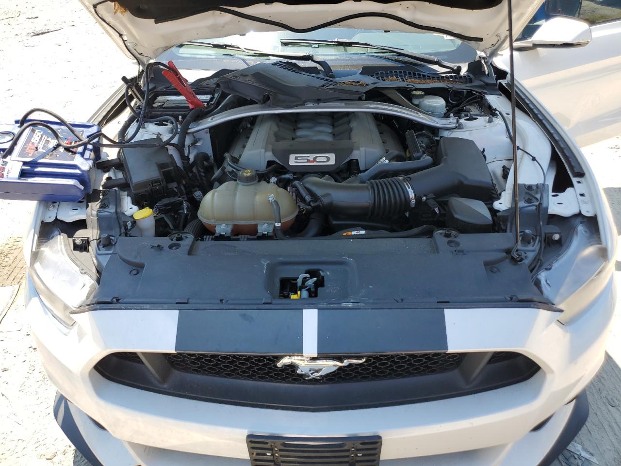 1FA6P8CF7H5309229 2017 Ford Mustang Gt