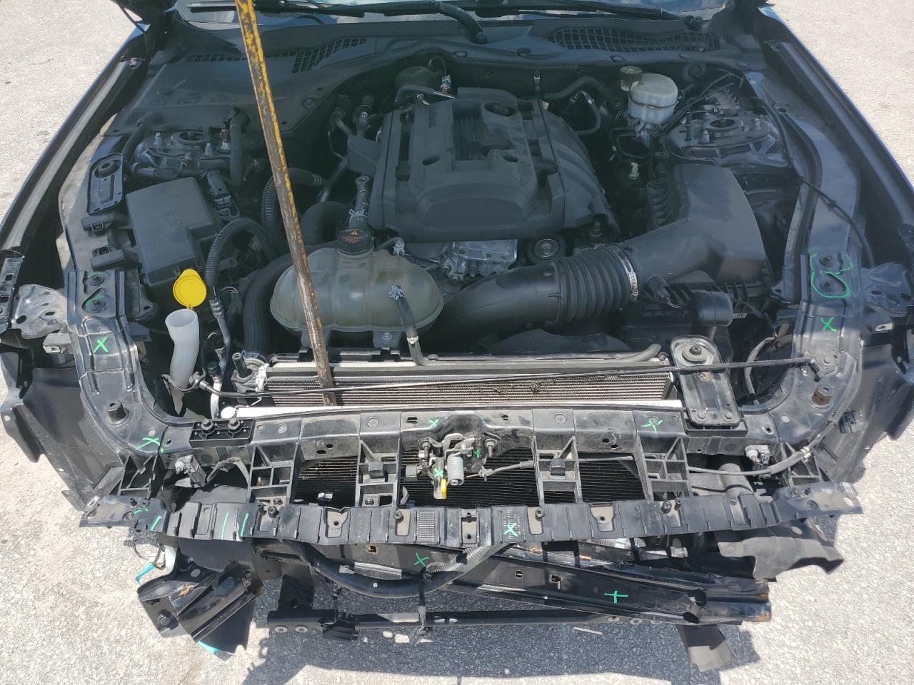 1FA6P8THXK5200255 FORD ALL Models 2019