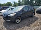 FORD ESCAPE SEL photo