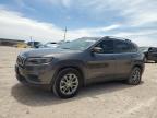 2019 JEEP CHEROKEE L - 1C4PJLLB6KD307985