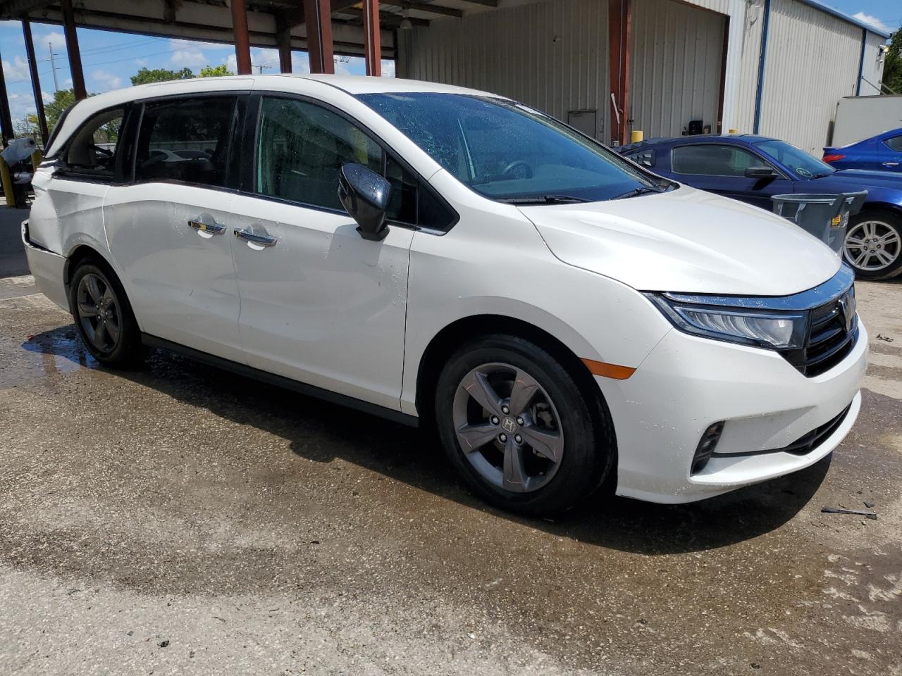 5FNRL6H59MB017646 HONDA All Models 2021