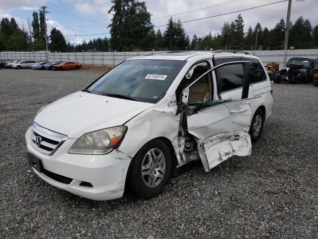 2007 Honda Odyssey Exl VIN: 5FNRL38727B405144 Lot: 57145374