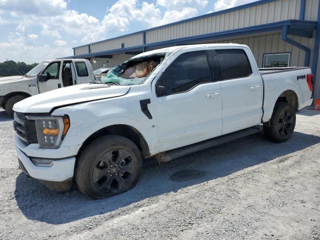 2023 FORD F150XLT4X4 - 1FTFW1E51PFB78445
