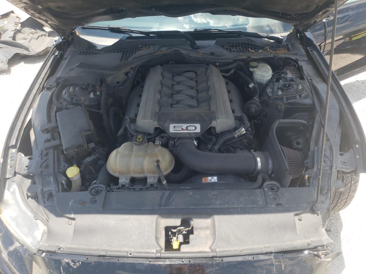 1FA6P8CF6F5318176 2015 Ford Mustang Gt