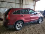 Lot #3024742240 2010 HONDA CR-V EX