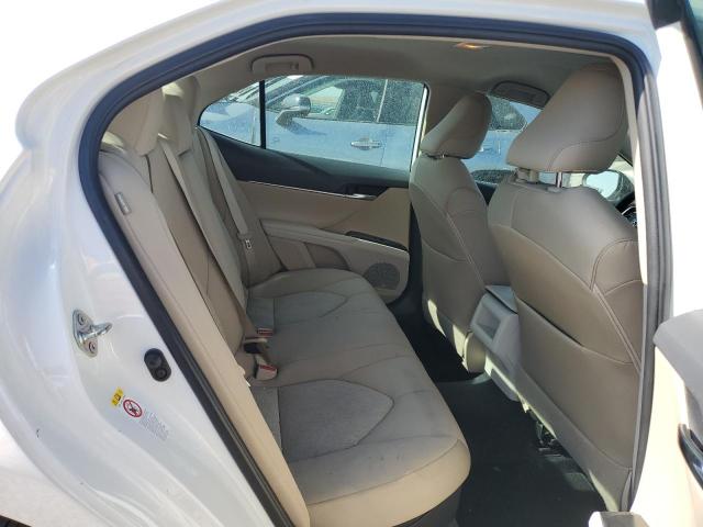 2019 TOYOTA CAMRY LE - 4T1B31HKXKU509449