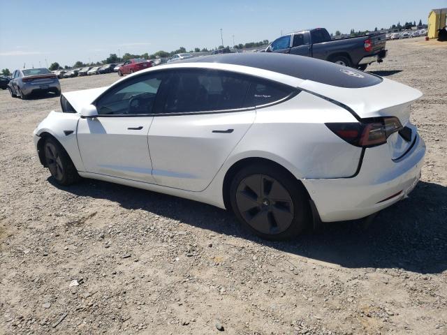 2021 TESLA MODEL 3 - 5YJ3E1EA2MF871902