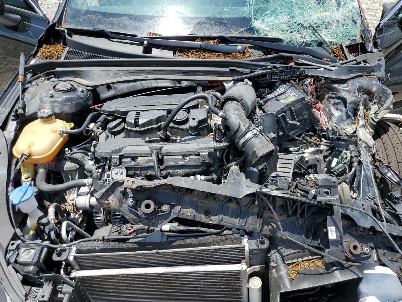 5XXG64J20PG173207 2023 Kia K5 Gt Line