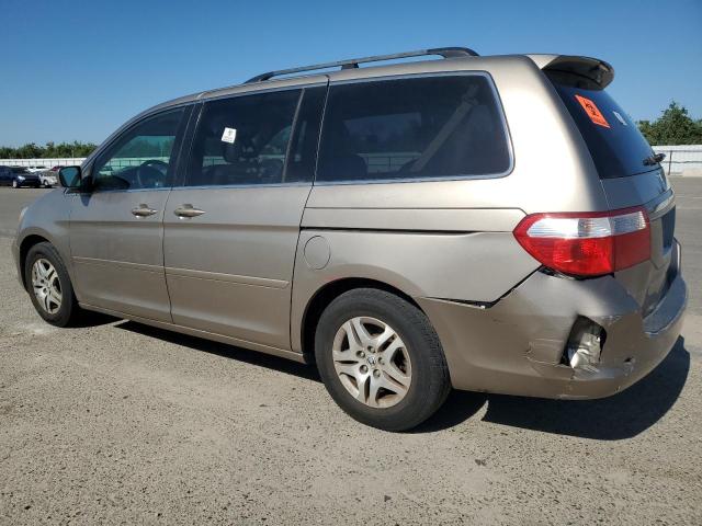 2005 Honda Odyssey Exl VIN: 5FNRL38755B096816 Lot: 59126064