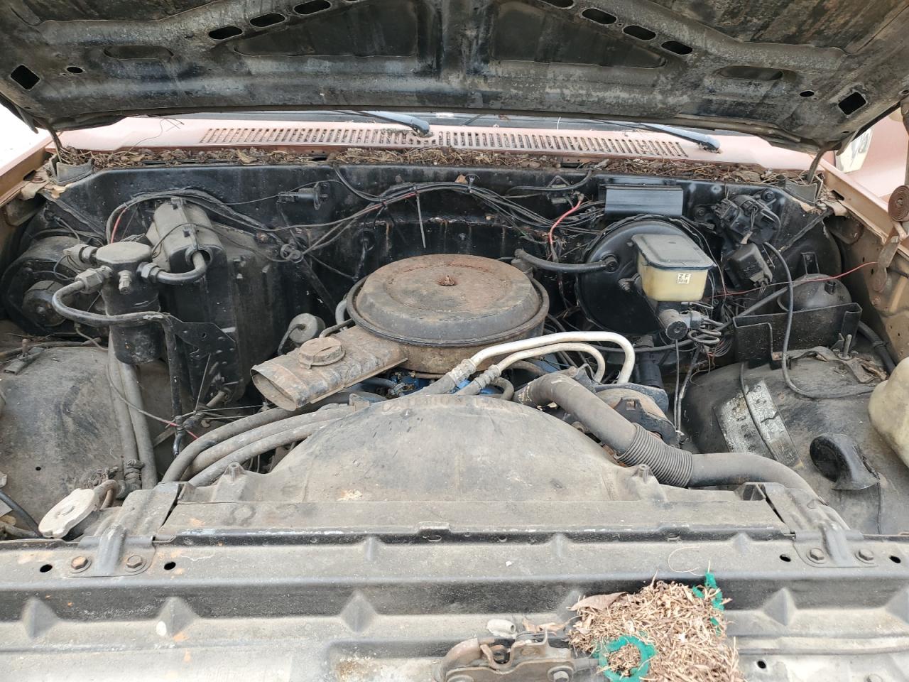 2GCEC14H6C1105170 1982 Chevrolet C10