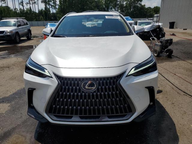 2024 LEXUS NX 350 LUX 2T2HGCEZ5RC056117