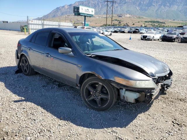 2004 Acura Tl VIN: 19UUA66294A070866 Lot: 58168424