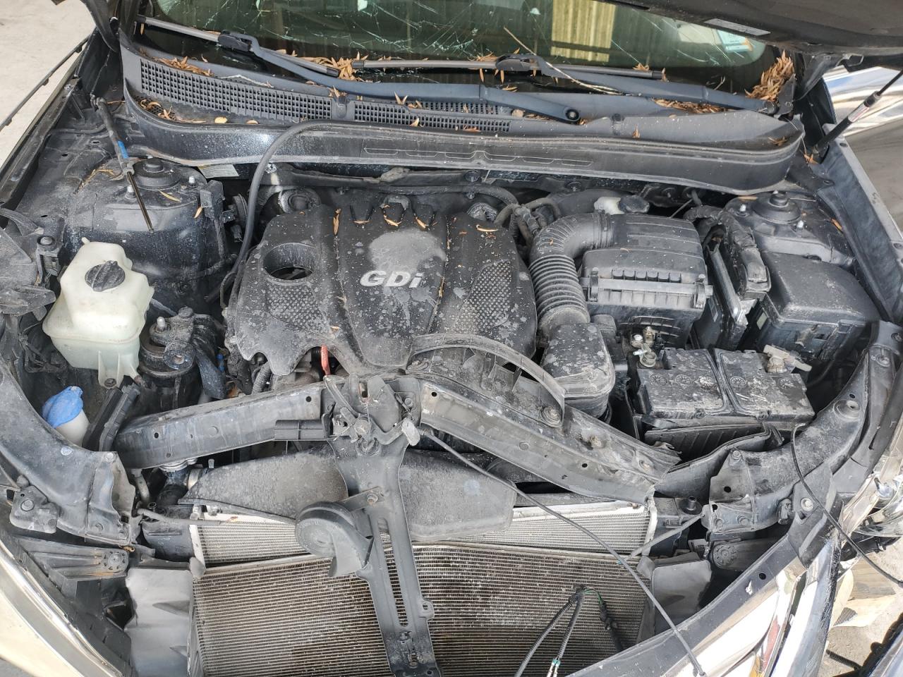 5NPEC4AC7BH307488 2011 Hyundai Sonata Se