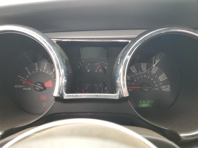 2008 Ford Mustang VIN: 1ZVHT80N385174192 Lot: 60656144