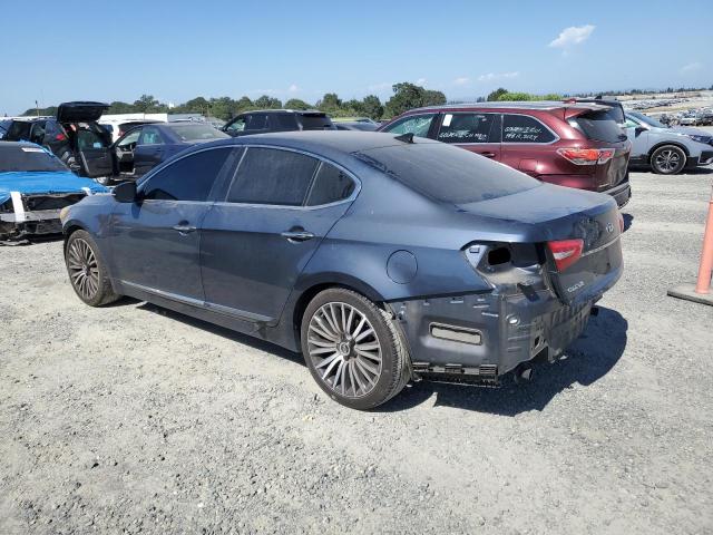 2014 Kia Cadenza Premium VIN: KNALN4D78E5124649 Lot: 58348624
