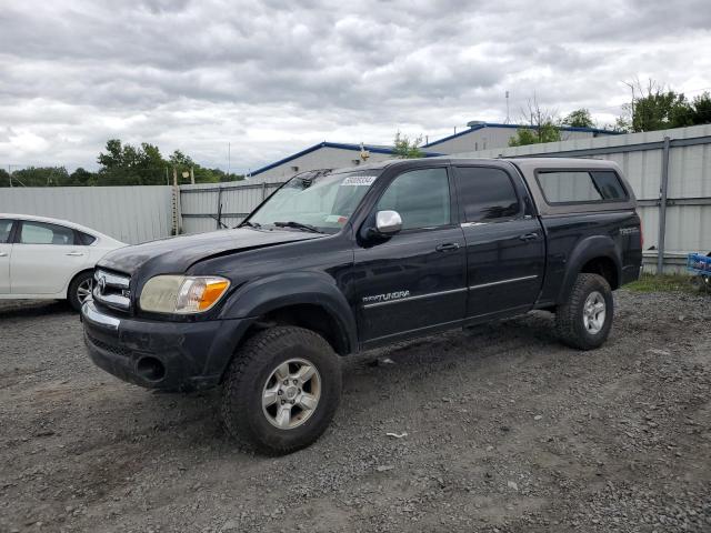 2005 Toyota Tundra Double Cab Sr5 VIN: 5TBDT44115S469453 Lot: 58009334