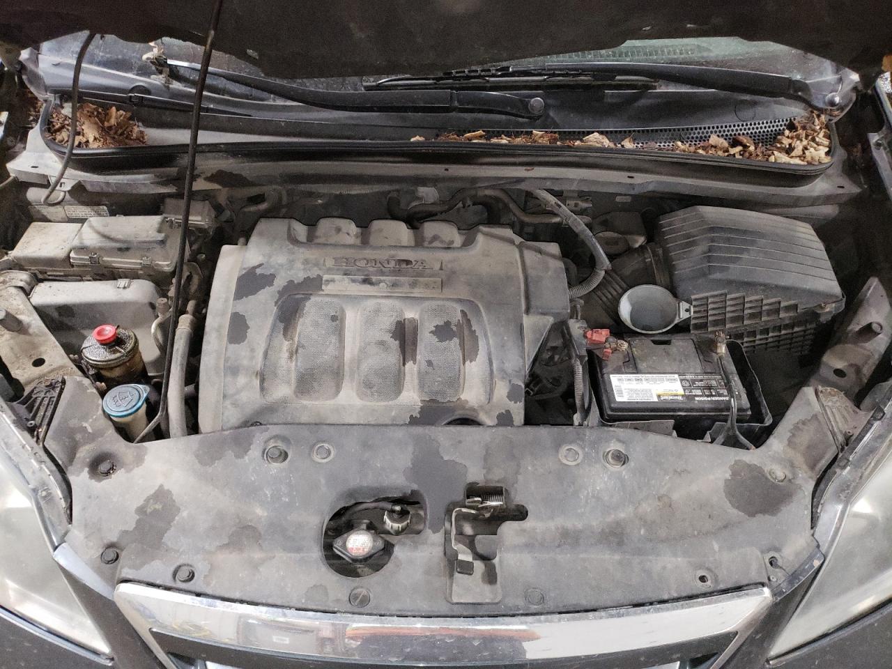 5FNRL38785B012746 2005 Honda Odyssey Exl