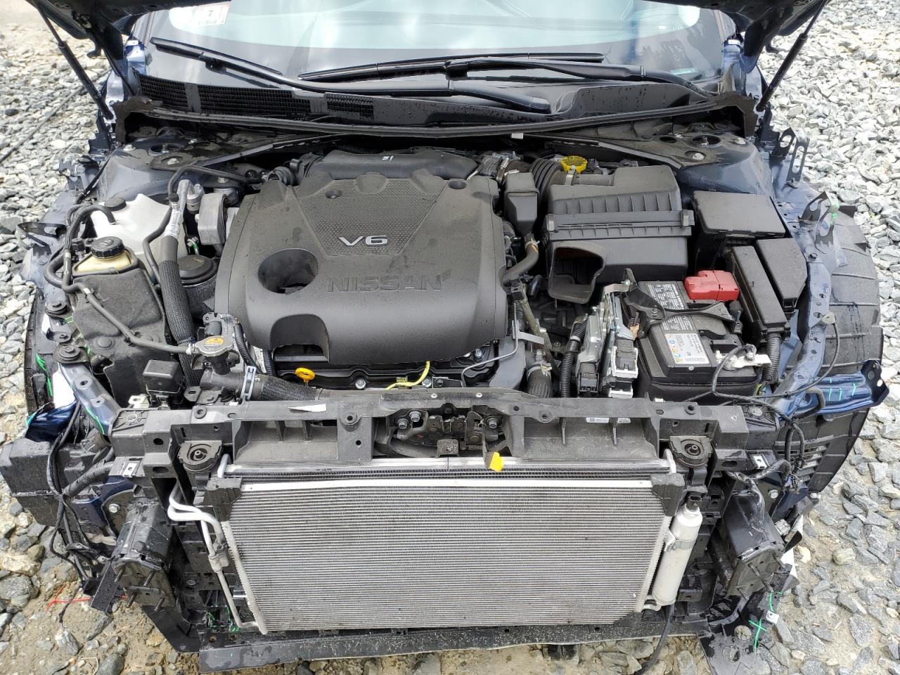 1N4AA6CVXPC511287 2023 Nissan Maxima Sv