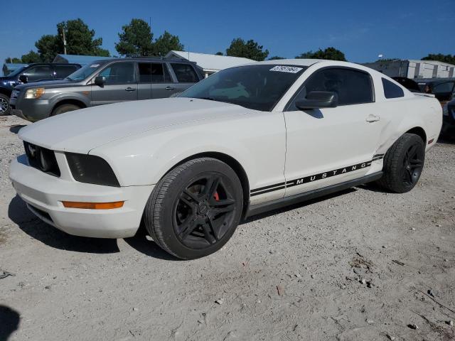 2007 Ford Mustang VIN: 1ZVFT80N075310428 Lot: 57951964