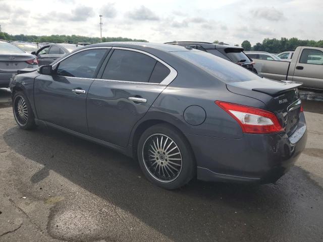 2010 Nissan Maxima S VIN: 1N4AA5AP7AC830572 Lot: 57806924