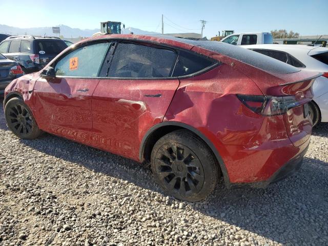 2023 TESLA MODEL Y - 7SAYGDEE6PF877777