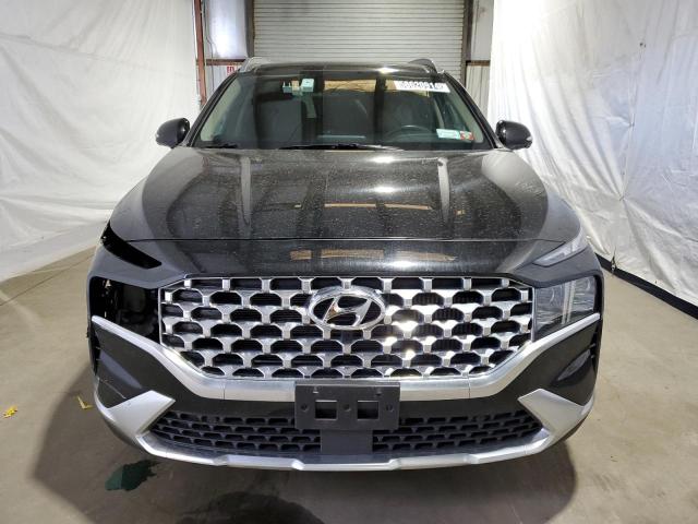 2023 Hyundai Santa Fe Limited VIN: 5NMS4DAL0PH517659 Lot: 58620914