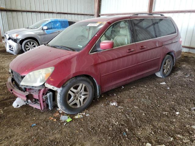 2005 Honda Odyssey Exl VIN: 5FNRL38745B051690 Lot: 59324934