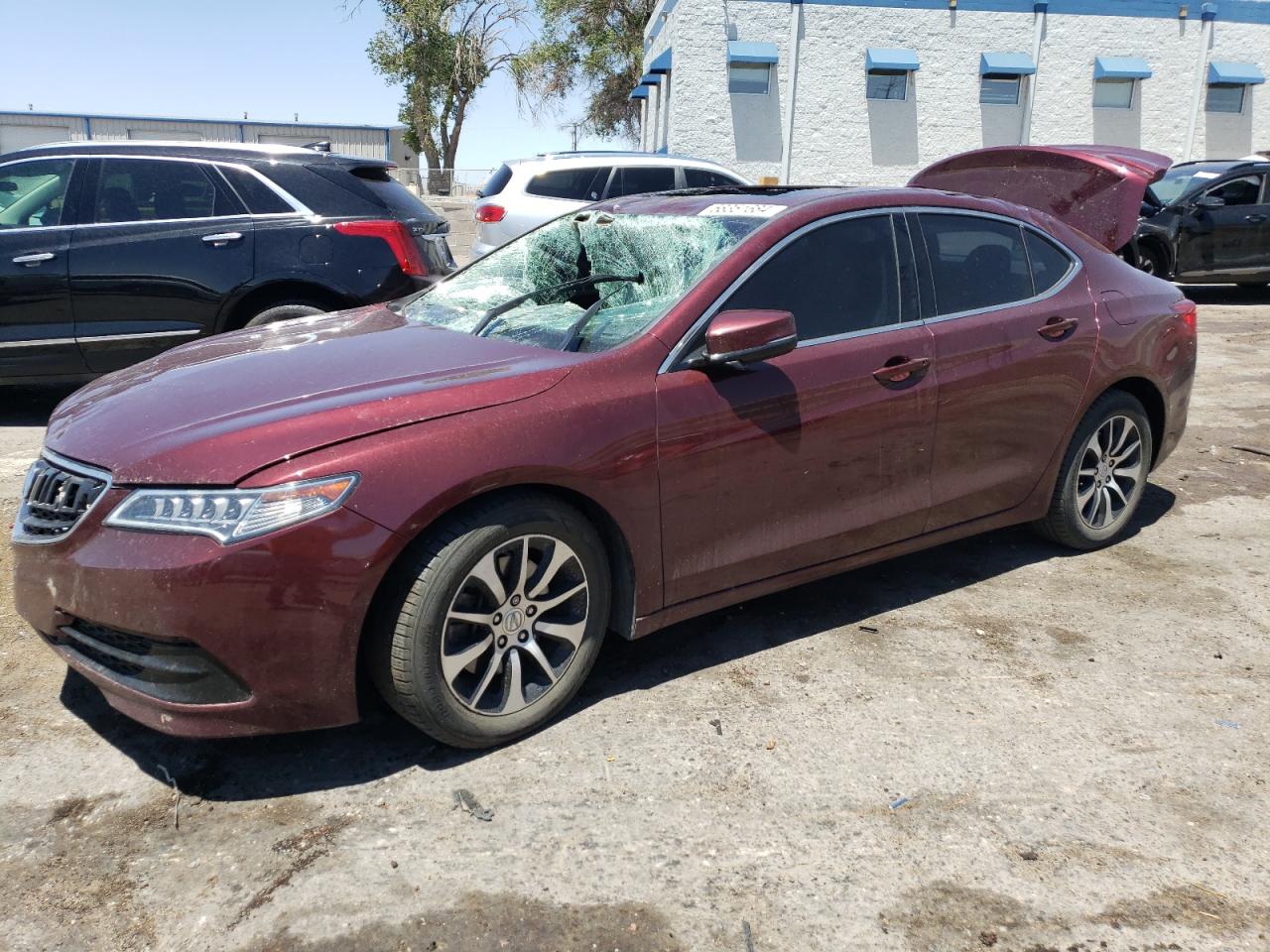 2016 Acura Tlx vin: 19UUB1F31GA008665