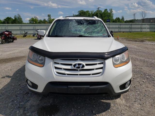 2010 Hyundai Santa Fe Limited VIN: 5NMSKDAG9AH371178 Lot: 58859164