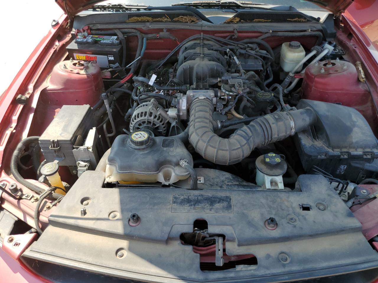 1ZVFT84N075307636 2007 Ford Mustang