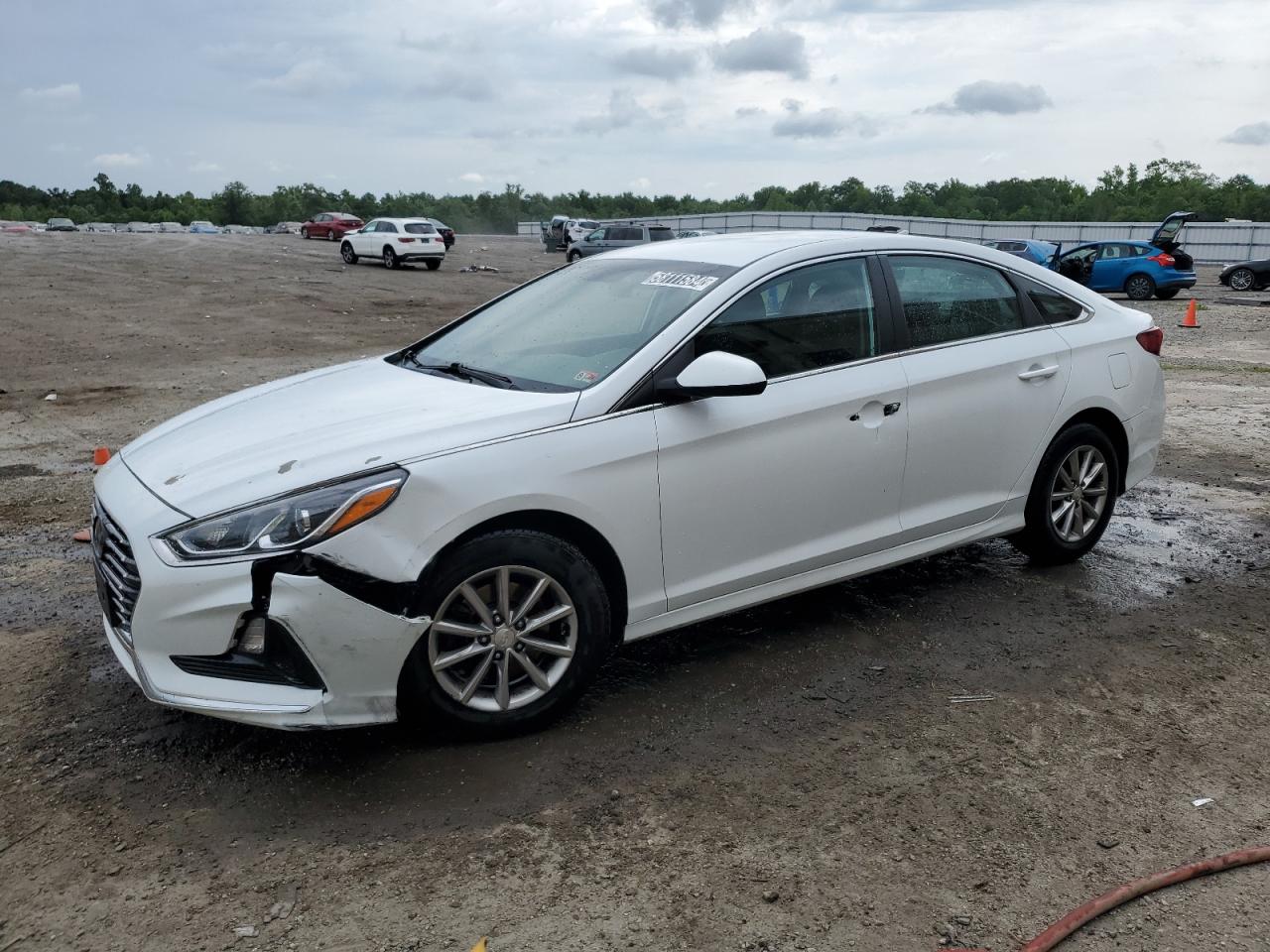 5NPE24AF6KH796348 2019 Hyundai Sonata Se