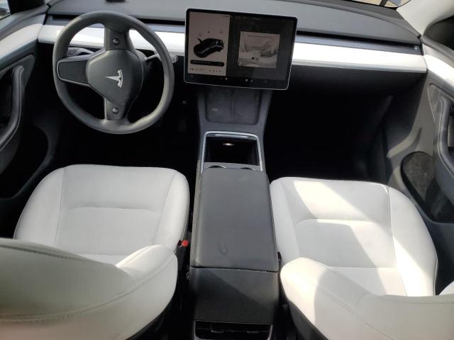 2023 Tesla Model Y VIN: 7SAYGDEE4PA203186 Lot: 58659034