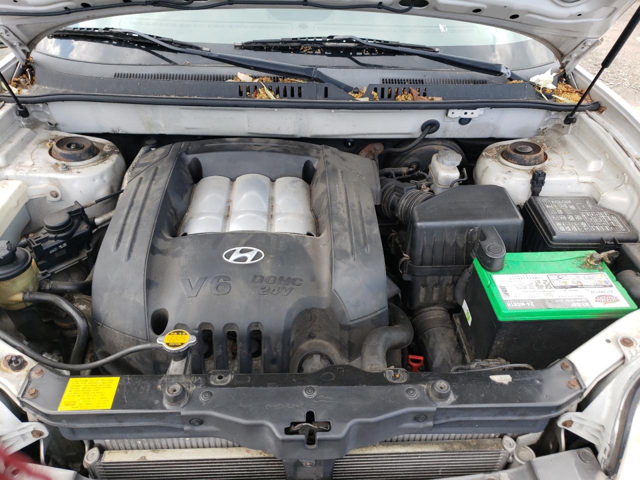 KM8SC73D53U433569 2003 Hyundai Santa Fe Gls