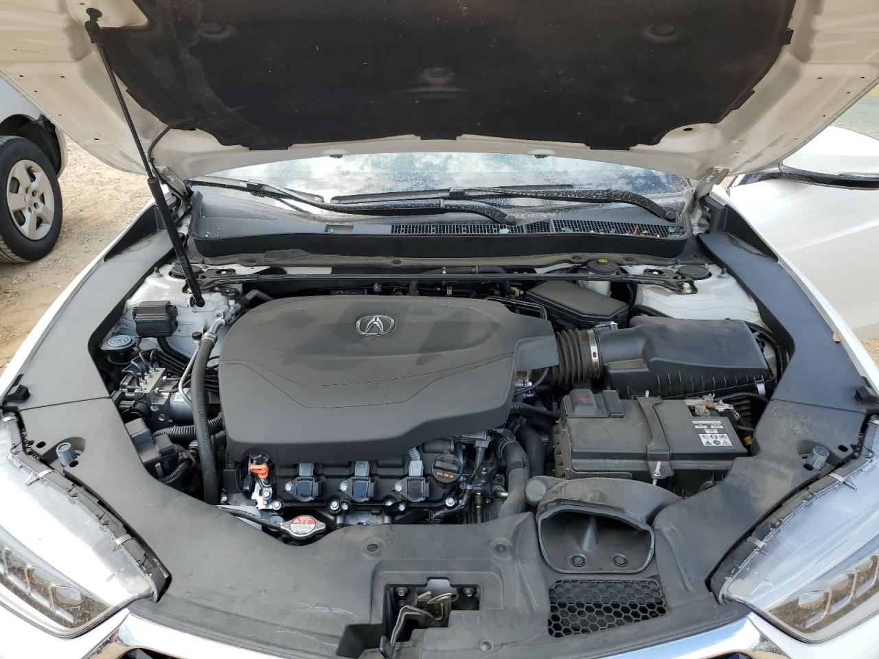 19UUB2F83KA002313 2019 Acura Tlx Advance