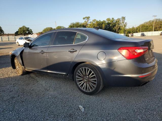 2014 Kia Cadenza Premium VIN: KNALN4D7XE5128024 Lot: 57662854