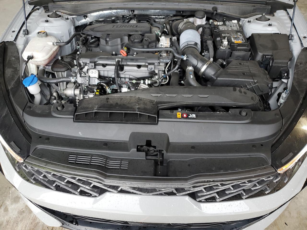 5XXG64J25PG201048 2023 Kia K5 Gt Line