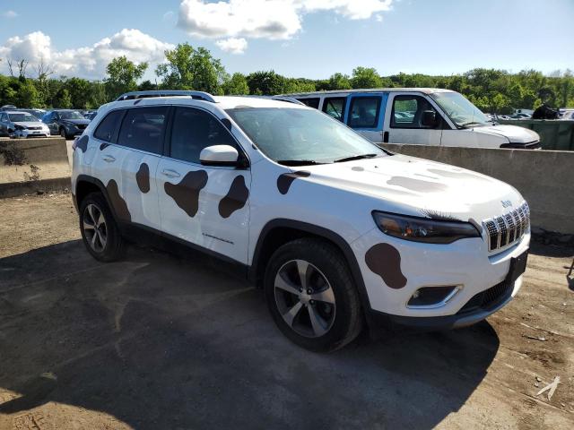 2019 Jeep Cherokee Limited VIN: 1C4PJMDX6KD360881 Lot: 58272194